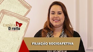 Explica Direito Filiação Socioafetiva  2019 [upl. by Applegate322]