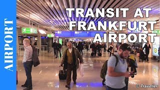 TRANSIT WALK AT FRANKFURT Airport FRA Terminal 1  Connection Flight Transfer Arriving amp Departing [upl. by Yralam]